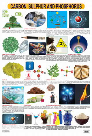 Carbon, Sulphur & Phosphorus