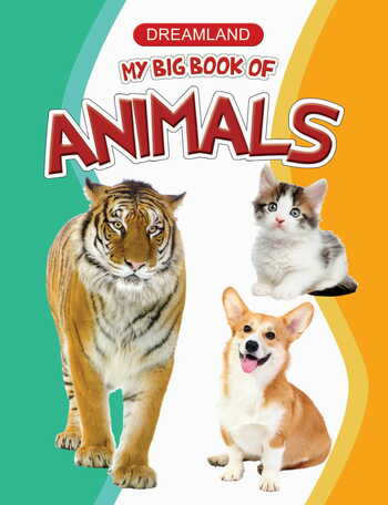 My Big Book of Animals