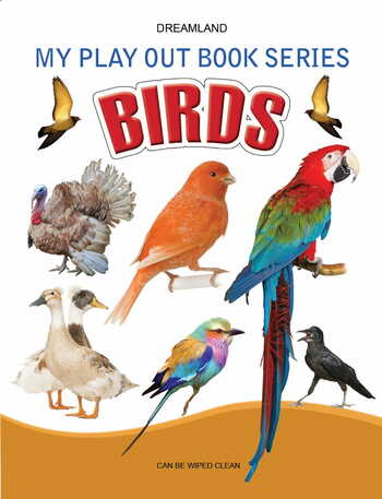 My Play Out Book Series - Birds