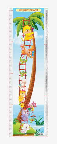 Height Chart - 6