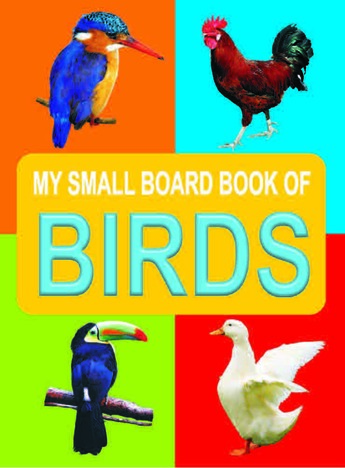 My Small Board Books - Bird