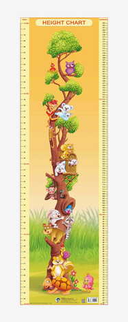 Height Chart - 2