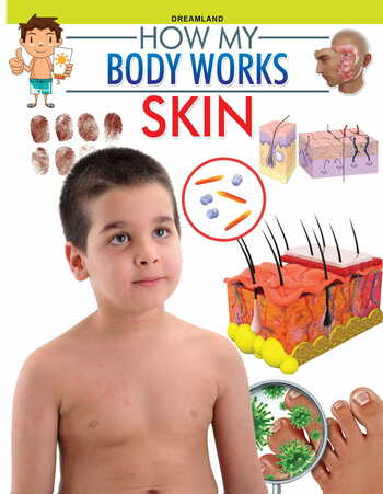 Skin (How My Body Works)