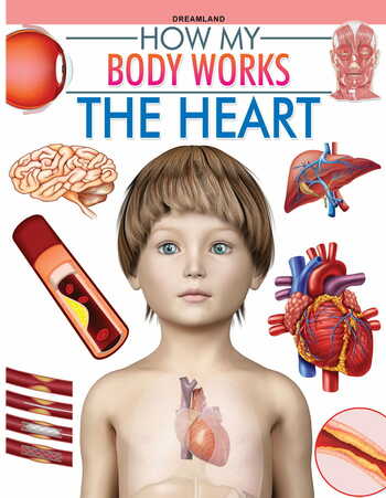 The Heart (How My Body Works)