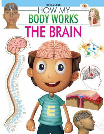 The Brain (How My Body Works)