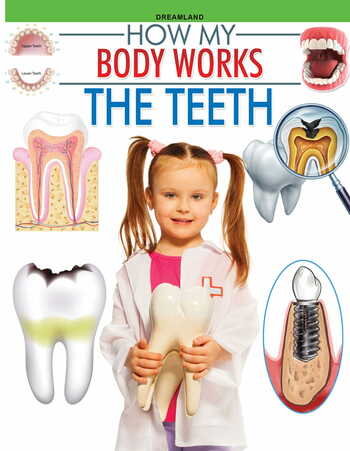 The Teeth (How My Body Works)