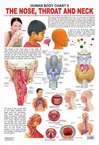 The Nose, Throat & Neck