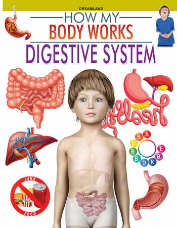 Digestive System (How My Body Works)
