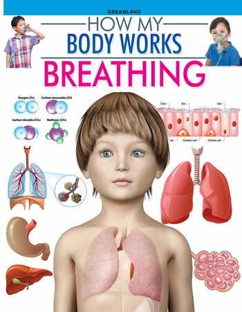 Breathing (How My Body Works)