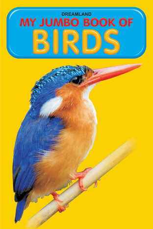 My Jumbo Book - BIRDS